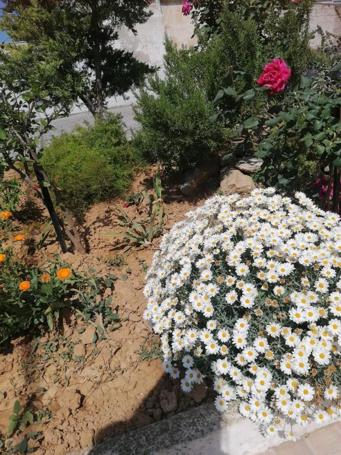 شقة Elva Creta كاندية المظهر الخارجي الصورة